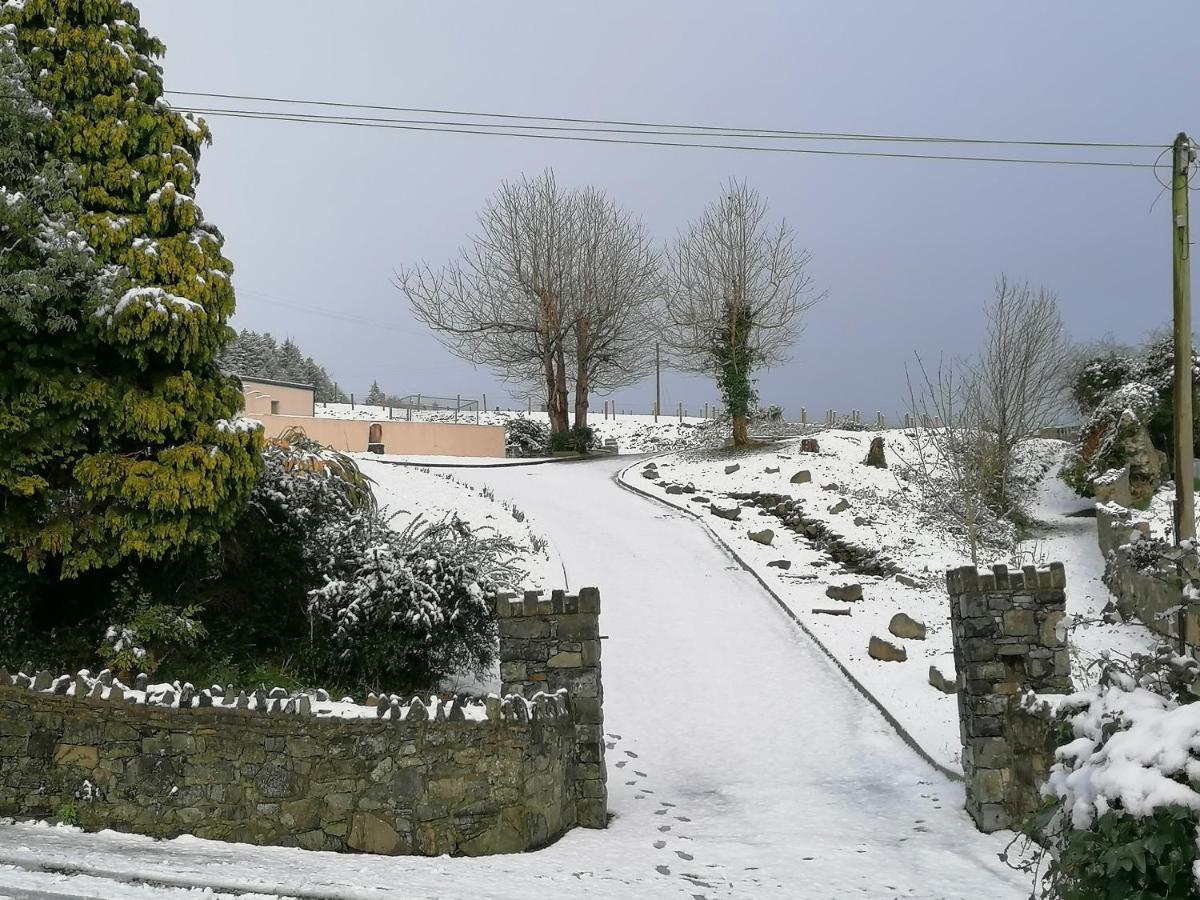 Carlingford Mountain And Sea Views Lejlighed Eksteriør billede