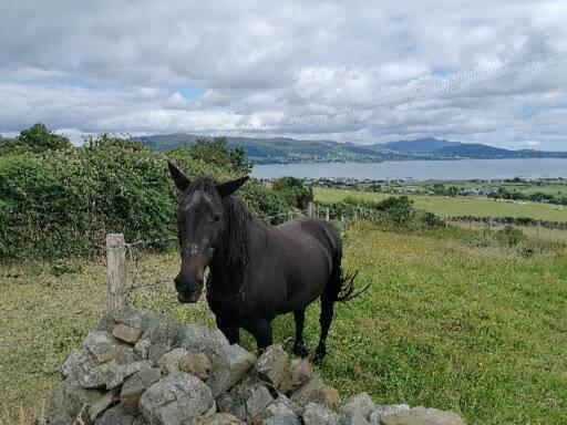 Carlingford Mountain And Sea Views Lejlighed Eksteriør billede